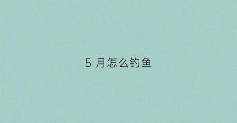 “5月怎么钓鱼(五月份怎么钓大鱼)